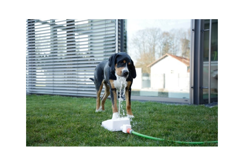 FONTAINE EXTERIEURE POUR CHIEN